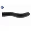 ACKOJA A63-1603 - Durite de radiateur