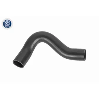 Durite de radiateur ACKOJA A63-1604