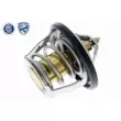 ACKOJA A63-99-0001 - Thermostat d'eau