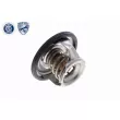 ACKOJA A63-99-0004 - Thermostat d'eau