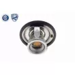 ACKOJA A63-99-0004 - Thermostat d'eau