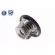 ACKOJA A63-99-0004 - Thermostat d'eau