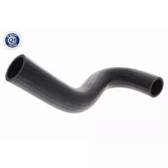 ACKOJA A64-1608 - Durite de radiateur