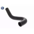 ACKOJA A64-1608 - Durite de radiateur