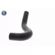 ACKOJA A64-1608 - Durite de radiateur