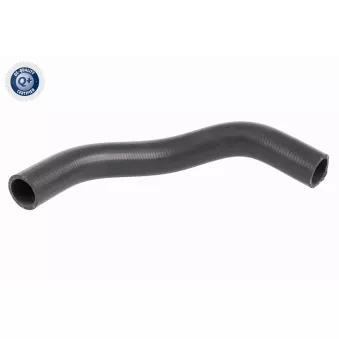 Durite de radiateur ACKOJA A64-1610