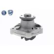 ACKOJA A64-50001 - Pompe à eau