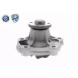 ACKOJA A64-50001 - Pompe à eau