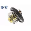 ACKOJA A64-99-0002 - Thermostat d'eau
