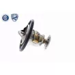 ACKOJA A70-99-0003 - Thermostat d'eau