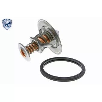Thermostat d'eau ACKOJA A70-99-0012