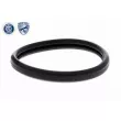 ACKOJA A70-99-0031 - Thermostat d'eau