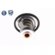 ACKOJA A70-99-0031 - Thermostat d'eau