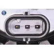 VEMO V10-16-0066 - Pompe à eau, refroidissement du moteur