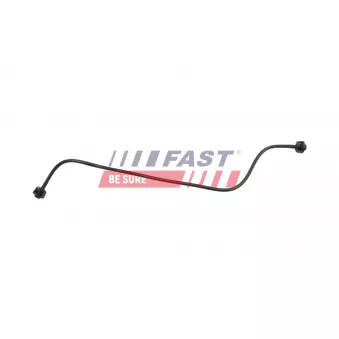 FAST FT00834 - Durite de radiateur