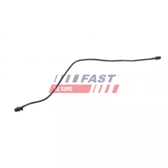 FAST FT00852 - Durite de radiateur