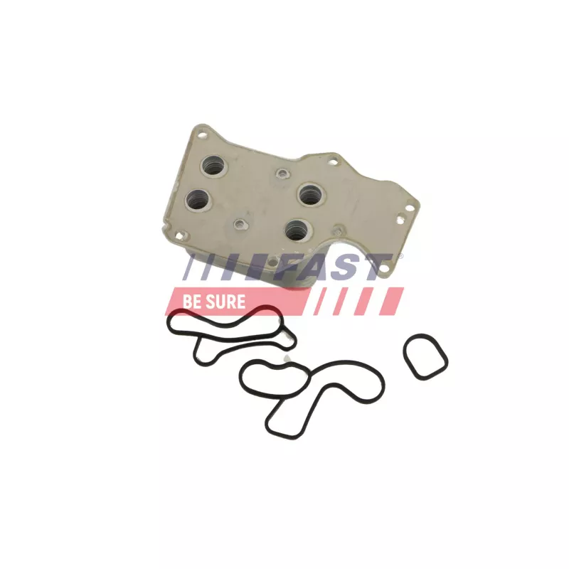 Radiateur d'huile FAST FT01032 - Visuel 1