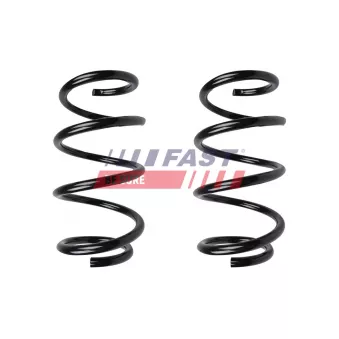 Ressort de suspension FAST OEM 5002nk
