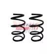 FAST FT12230K - Ressort de suspension