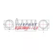 FAST FT12248 - Ressort de suspension