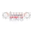 FAST FT12248K - Ressort de suspension