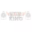 FAST FT12250K - Ressort de suspension