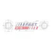 FAST FT12283 - Ressort de suspension