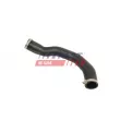 FAST FT01146 - Durite de radiateur