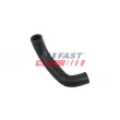 FAST FT01265 - Tuyau, ventilation de carter-moteur