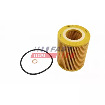 Filtre à huile FAST OEM 7509430