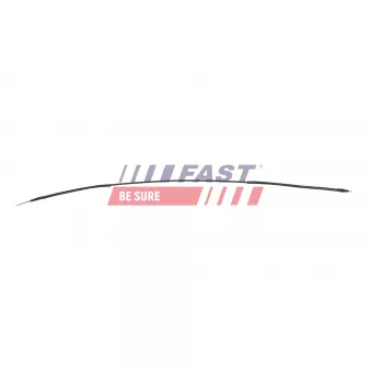 Tirette à câble, frein de stationnement FAST OEM 365312075R
