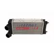 Intercooler, échangeur FAST [FT10920]
