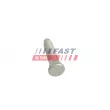 FAST FT21580 - Vis de roue