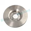 RAP BRAKES R-D0980 - Jeu de 2 disques de frein avant