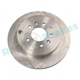Jeu de 2 disques de frein arrière RAP BRAKES OEM L20626251