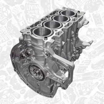 Partie du moteur ET ENGINETEAM OEM 2189133