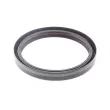 CORTECO 01029660B - Bague d'étanchéité, moyeu de roue