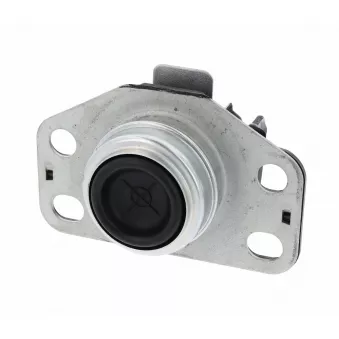 Support moteur CORTECO OEM 7700415089