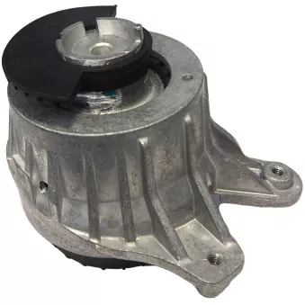 Support moteur CORTECO OEM A2132400900