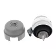Support moteur CORTECO [49446192]