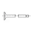 CORTECO 550243B - Soupape d'échappement