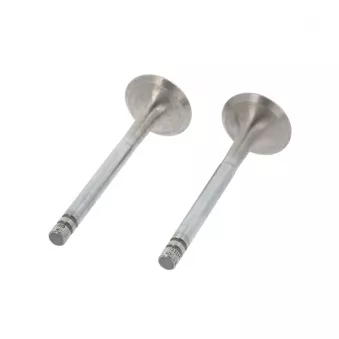 Soupape d'échappement CORTECO OEM 7701460690