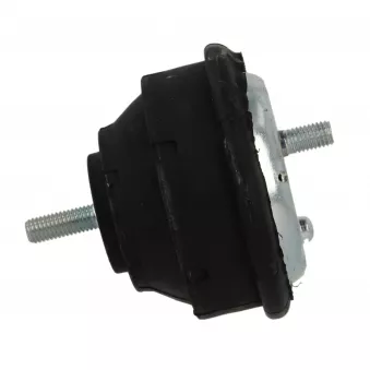 Support moteur CORTECO OEM 11811137775