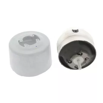 Support moteur CORTECO OEM 8E0199379AG
