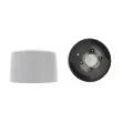 CORTECO 80000011 - Support moteur