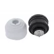 CORTECO 80000393 - Support moteur