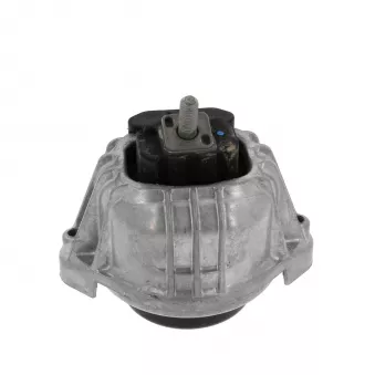 Support moteur CORTECO OEM 22116768853