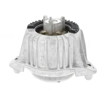 Support moteur CORTECO OEM 2042405817