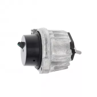 CORTECO 80001232 - Support moteur