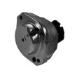 Support moteur CORTECO [80004415]